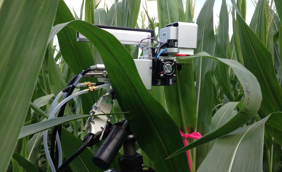 The instrument head of the LiCor 6400 Portable Photosynthesis System is clamped to a corn leaf to measure its photosynthetic response. These measurements are compared to optical measurements of the leaves as part of the Spectral Bio-Indicators study lead by Dr. Elizabeth Middleton (NASA, Code 618).